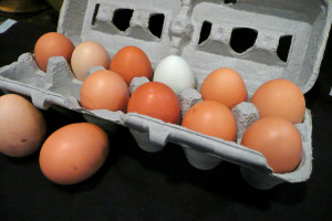 eggs1