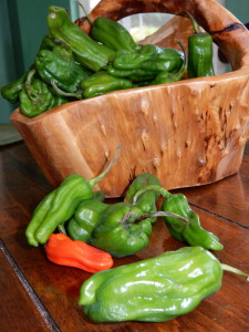 Charred Shishito Peppers